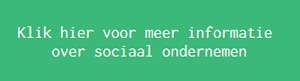 sociaal ondernemen